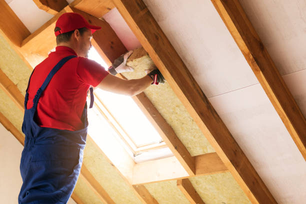 Types of Insulation We Offer in Buellton, CA